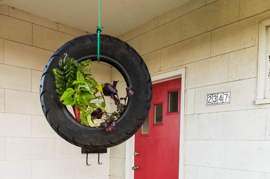 An old tire finds a new life as a hanging planter. Photo by Tino Tran www.tinotran.com