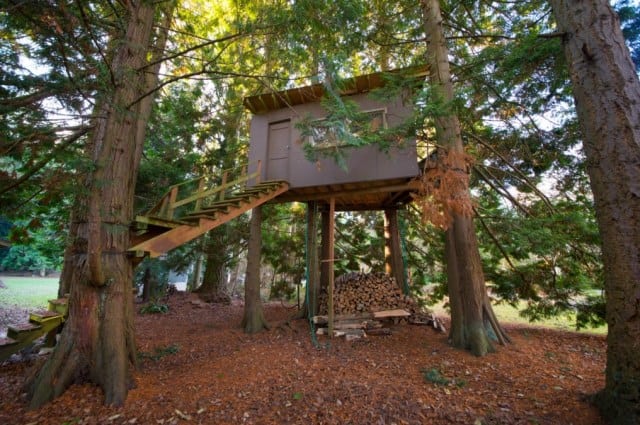Treehouse with stairs through a tree
