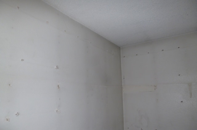 What Are These Black Stains On The Walls Redfin