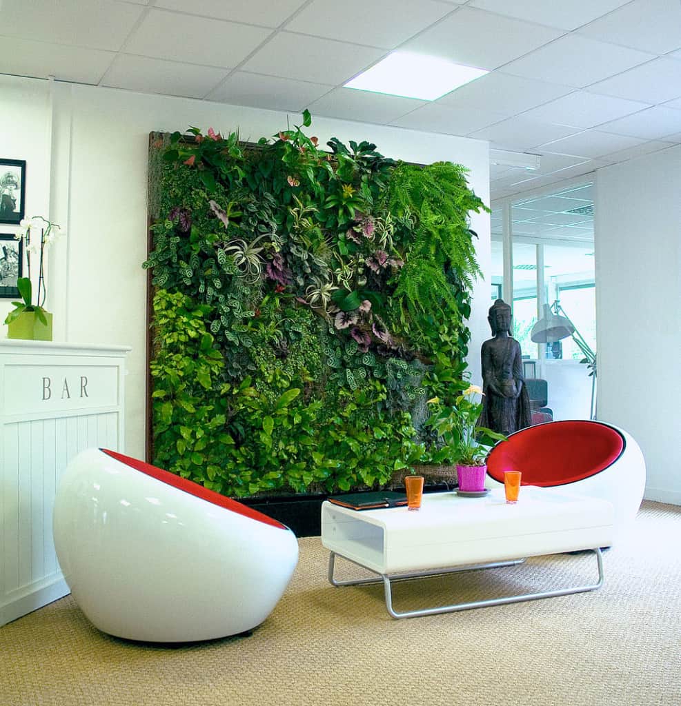 indoor living wall