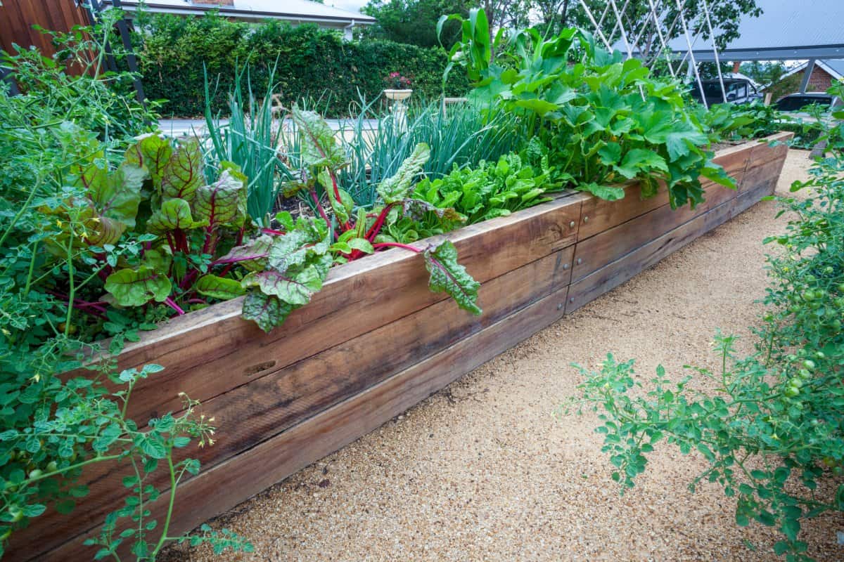 How To Start Your Own Urban Garden Redfin