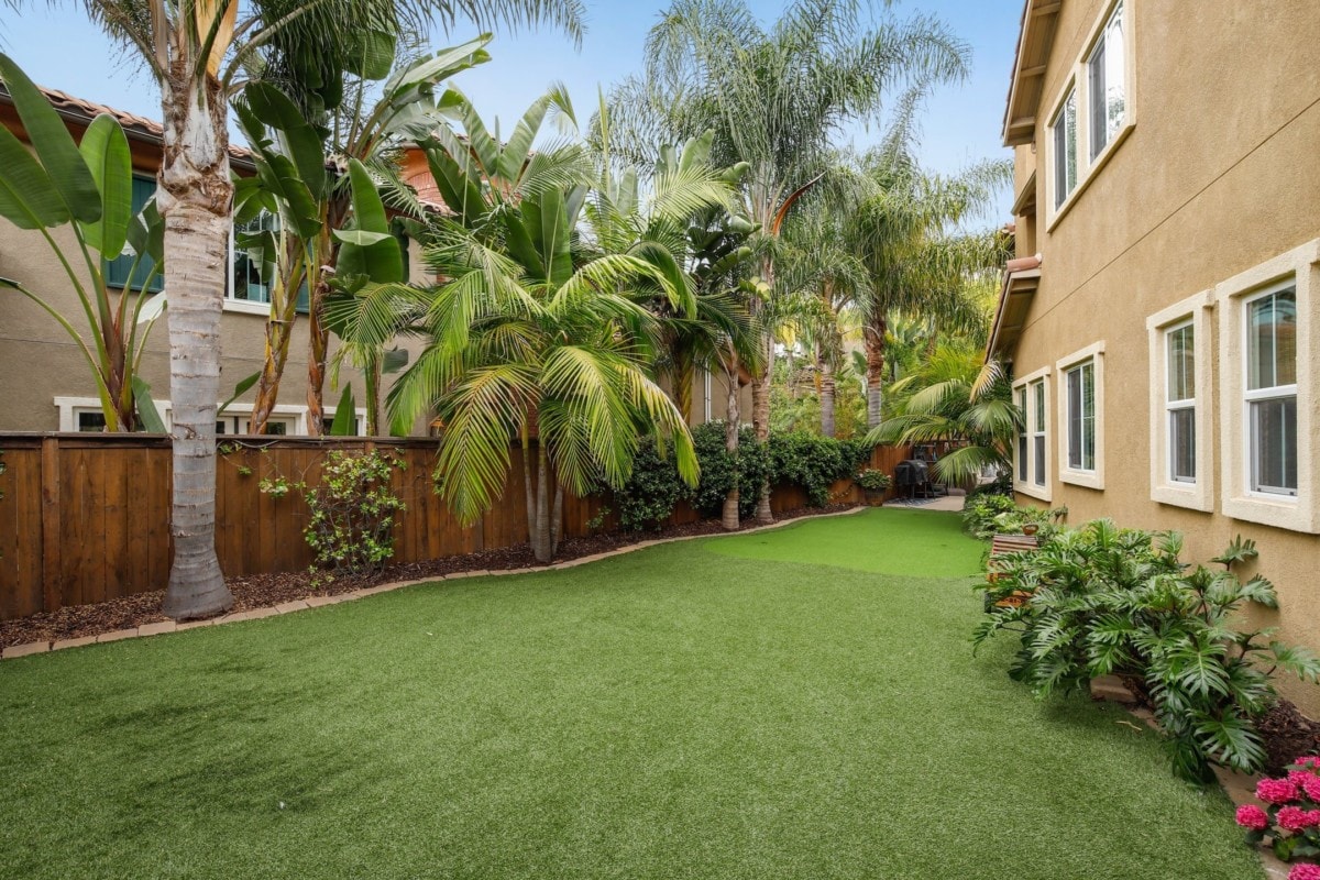 row of palm trees backyard