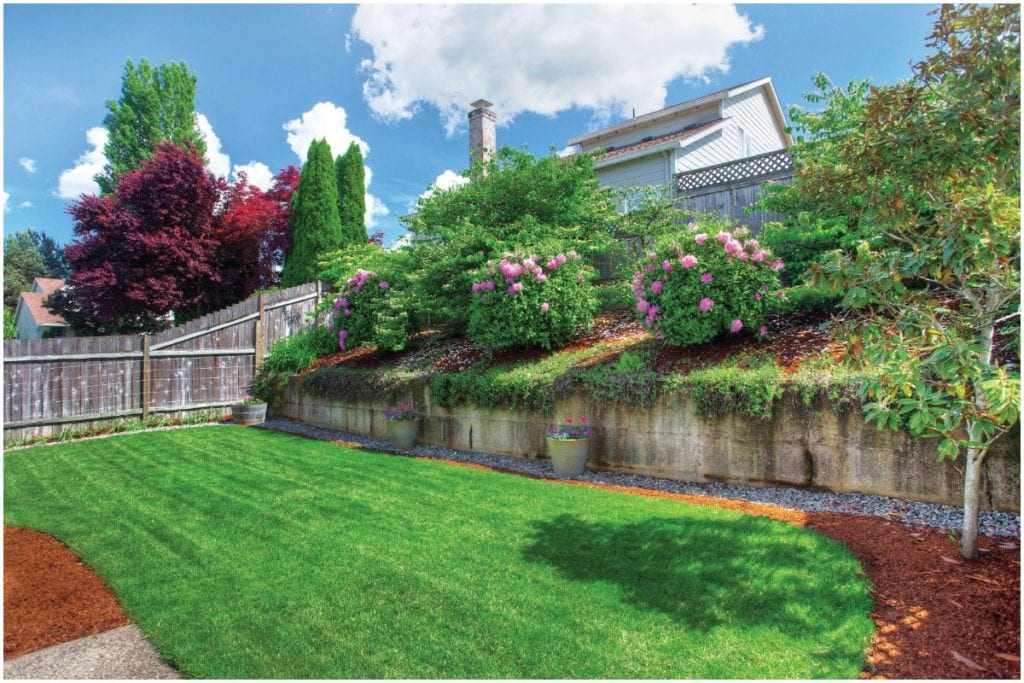 backyard raised hill with plants and green grass