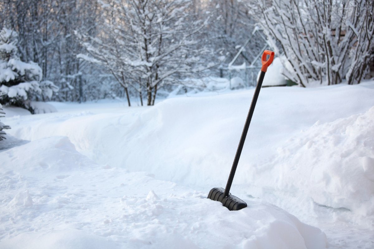 A large shovel with a red handle in a snow bank