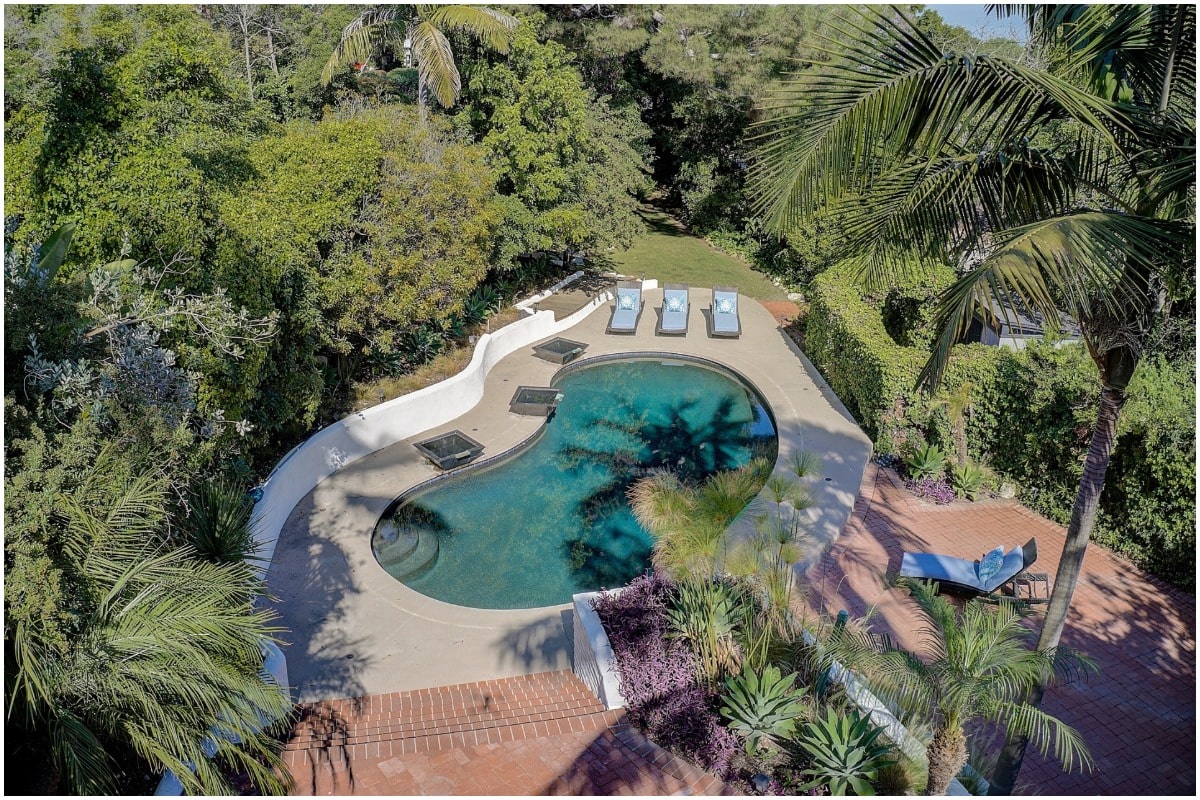 oasis backyard pool and palm tree 