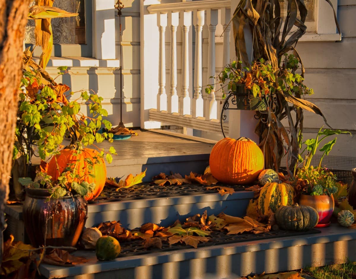 Mixing pumpkins and flowers is a great front porch decorating idea
