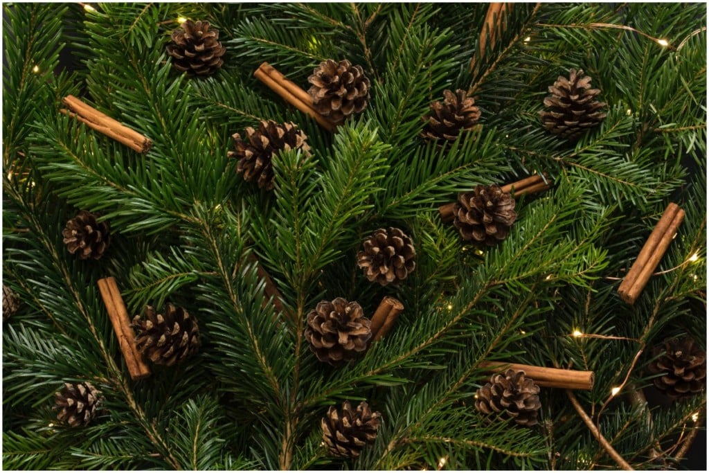Christmas tree decorations pine cones 