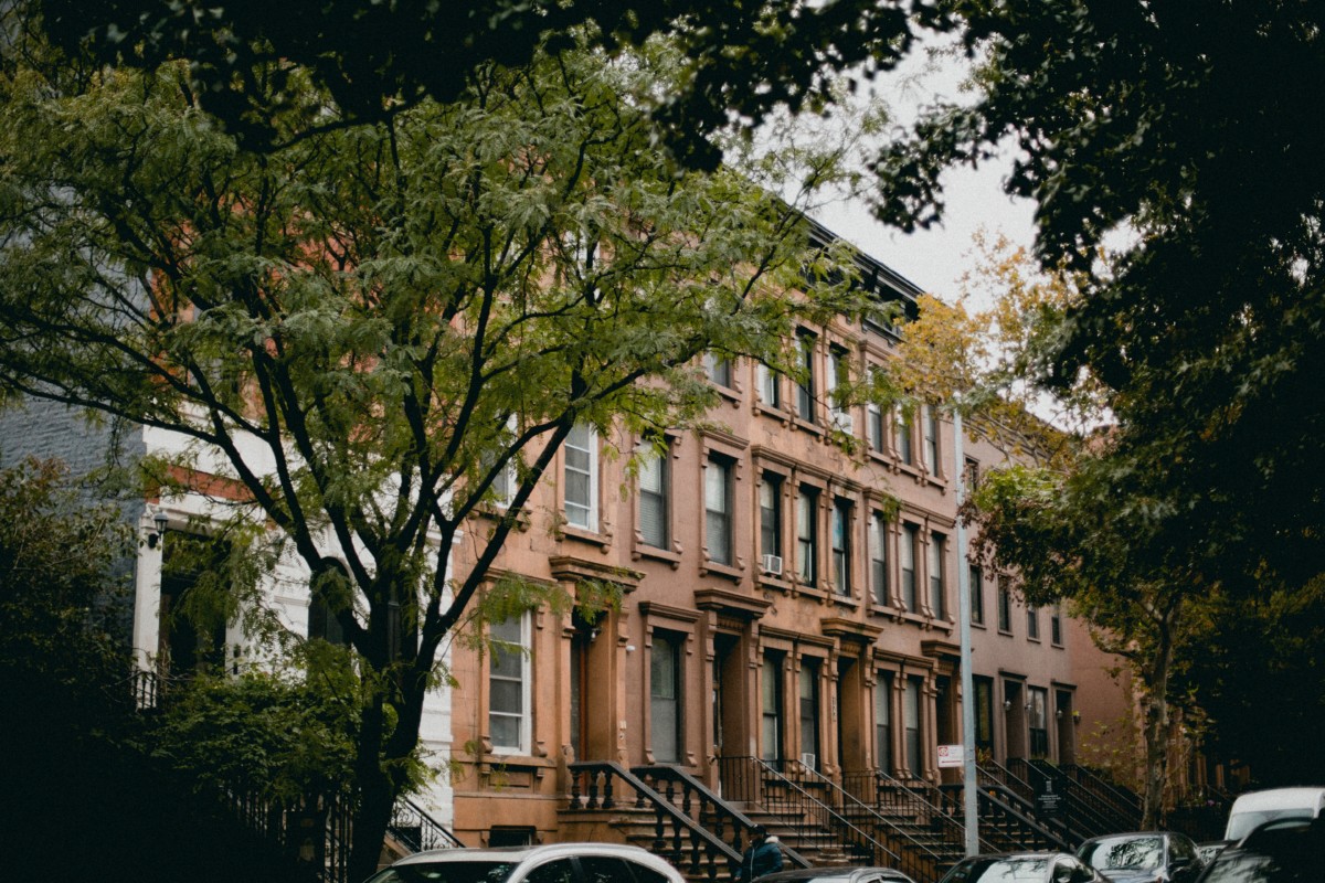 neo grec row houses half covered by trees