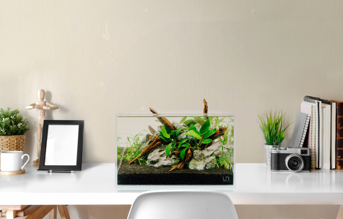 office desk with aquarium on top with a white background