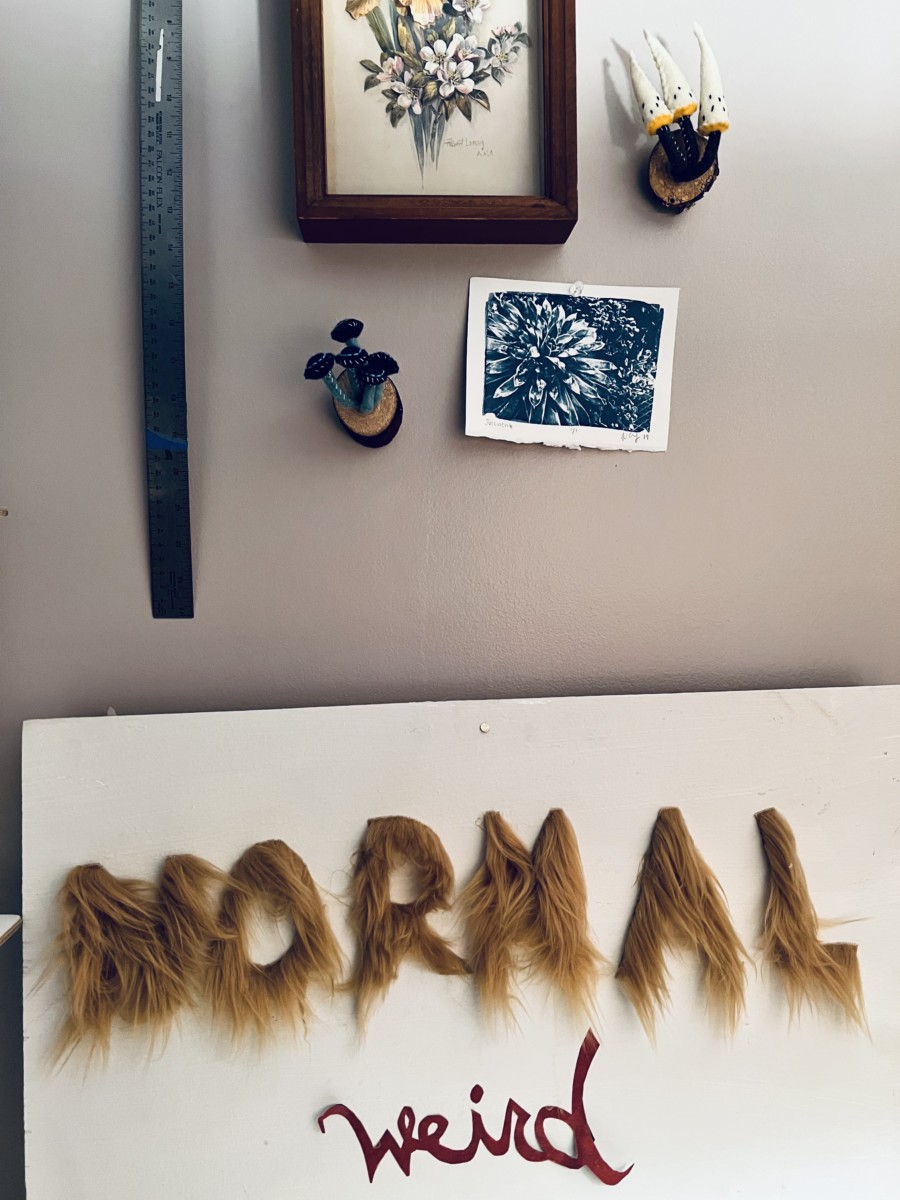 photo of artwork that says normal and weird on it