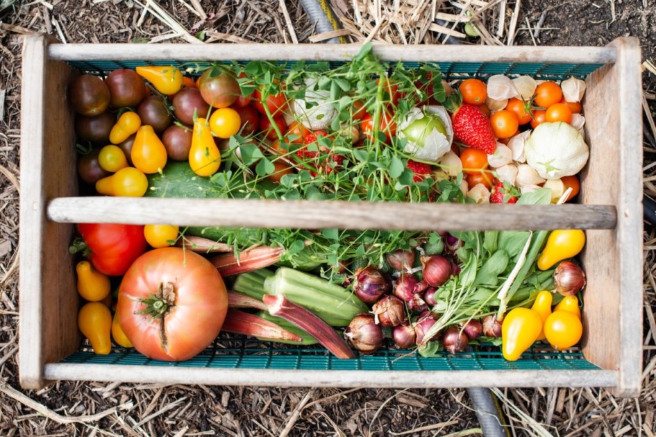 vegetables in a wood basket