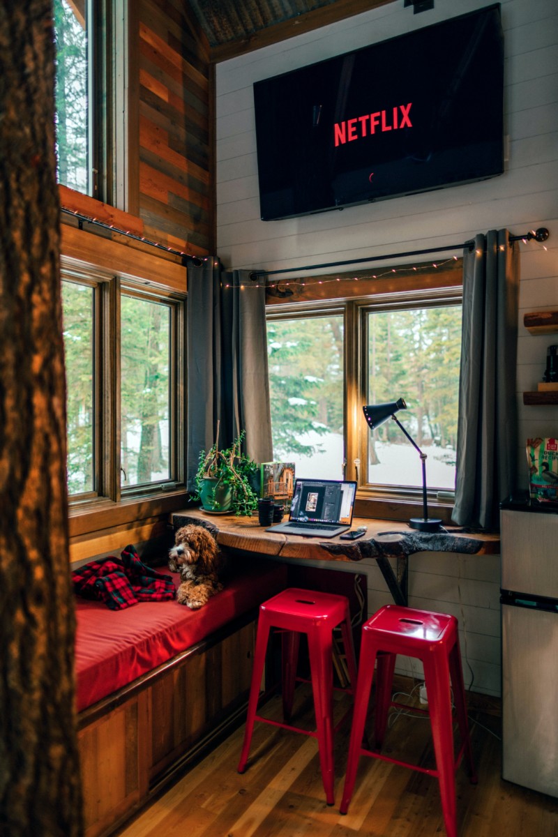 tiny home interior with pets