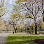 a beautiful park in Boston
