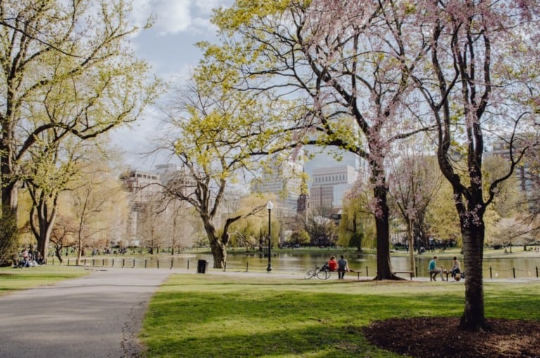 a beautiful park in Boston