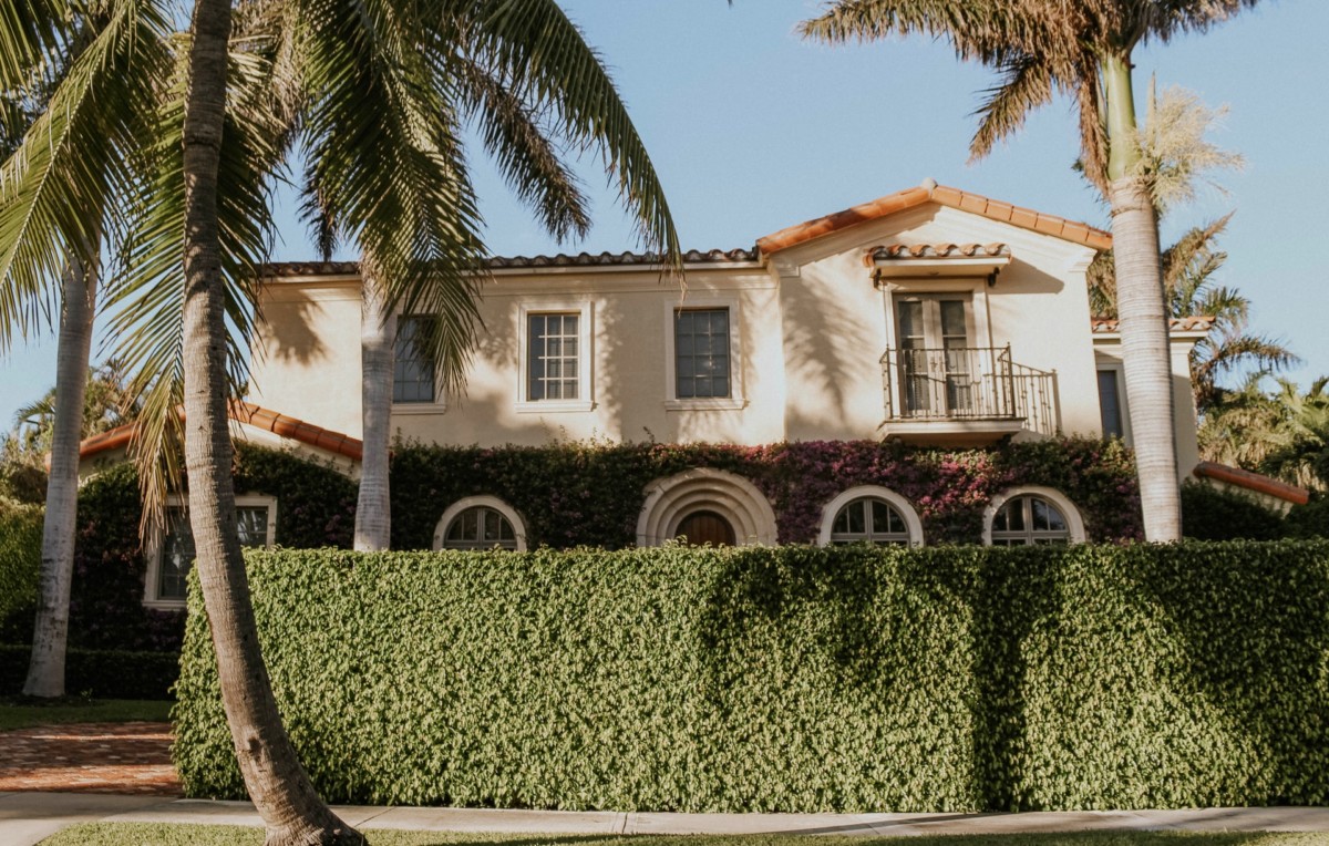 Hedges infront of a house with a palm tree