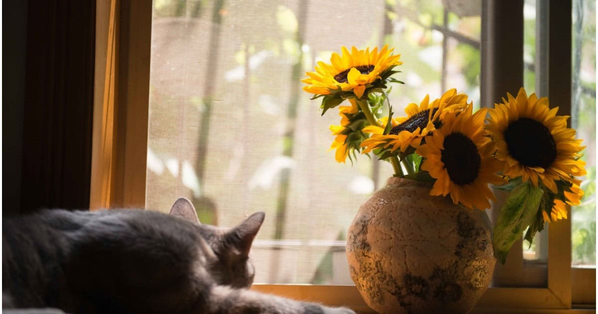 window decorating with flowers