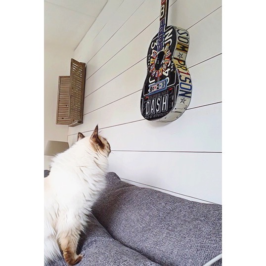 cat on a couch looking at a custom guitar art on the wall