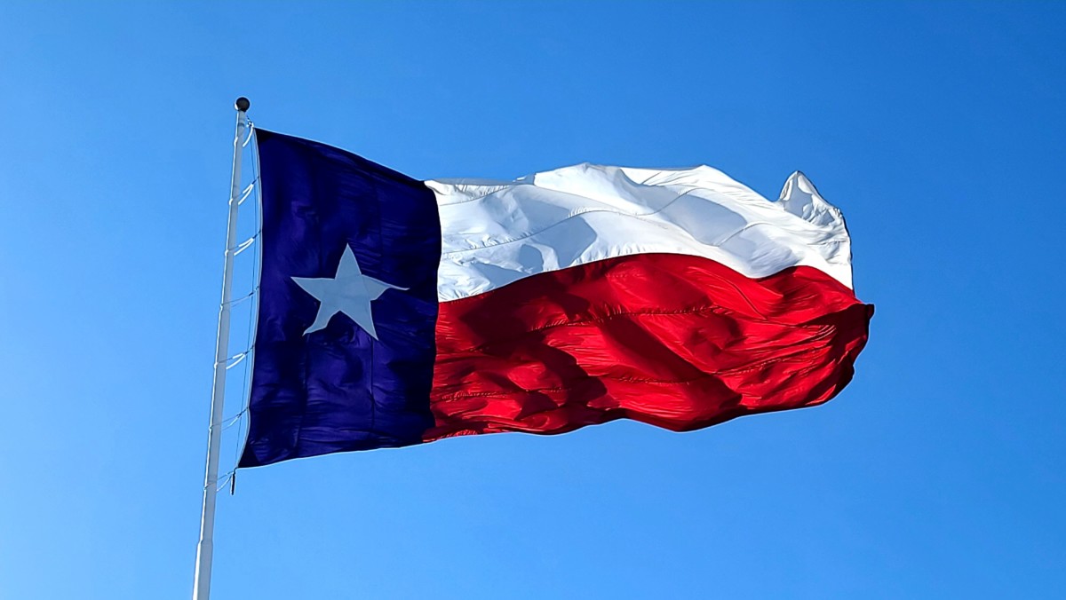 texas state flag against a blue sky