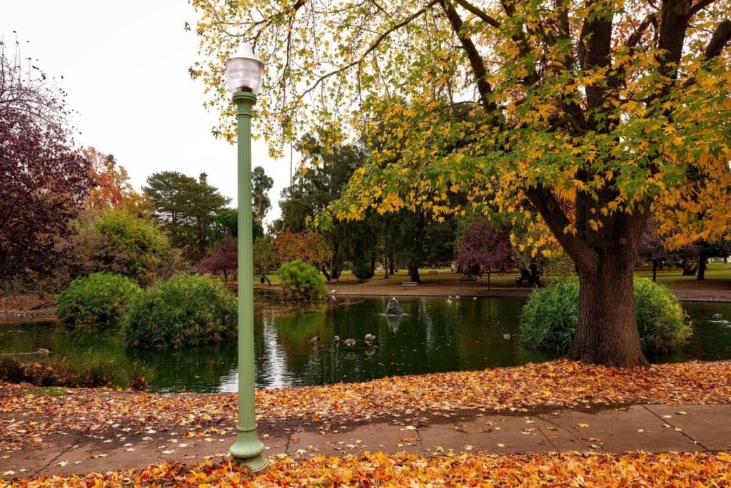 sacramento suburb park in autumn