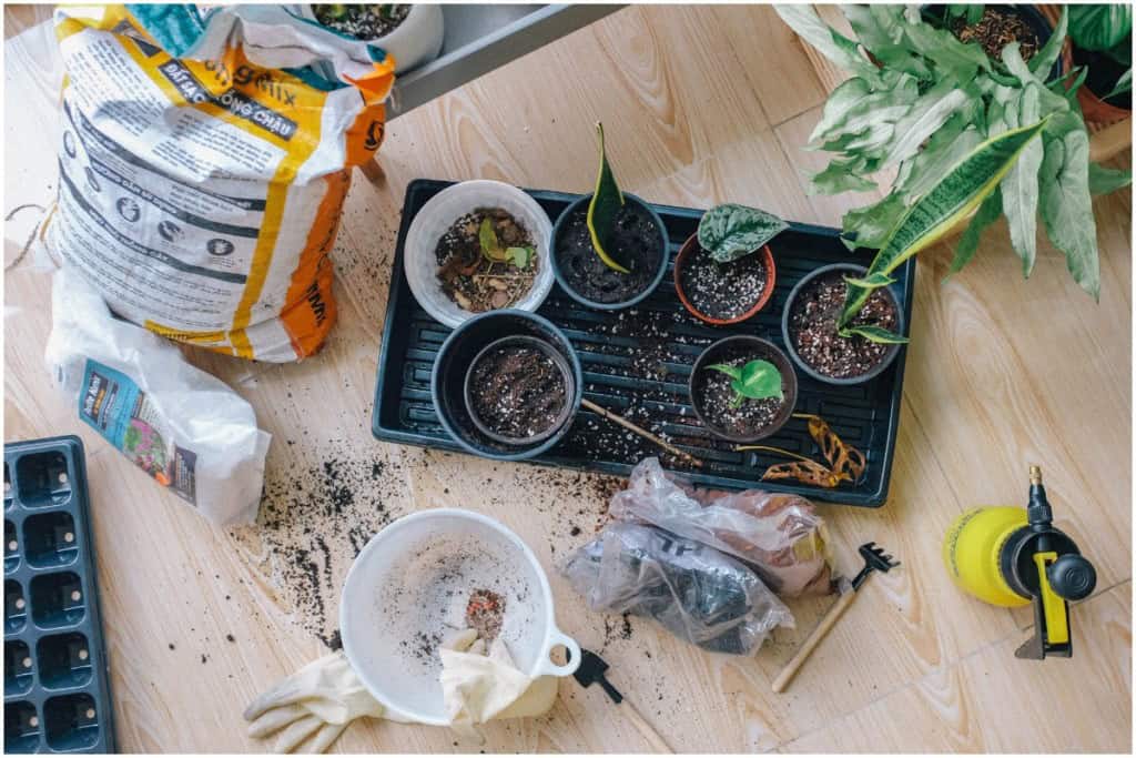 supplies needed for apartment gardening