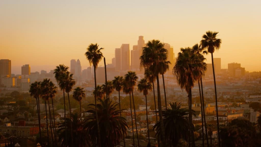 sunset aerial view of los angeles with palm trees