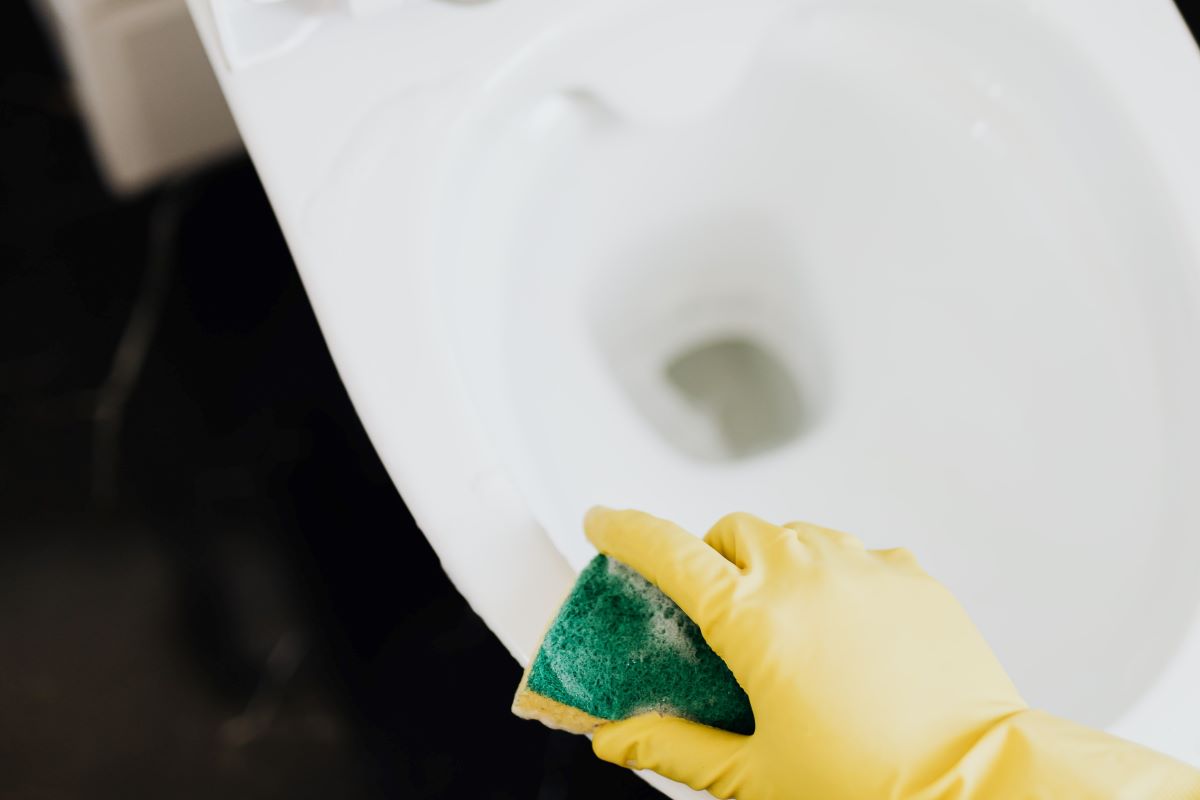 gloved hand cleaning a toilet with a sponge
