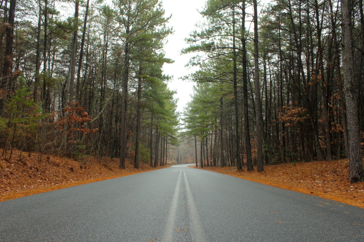 forest road in cities near charlotte north carolina
