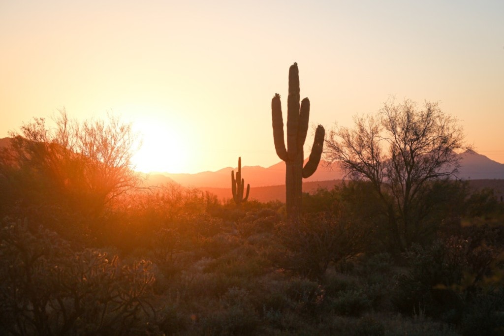 desert sunset in arizona