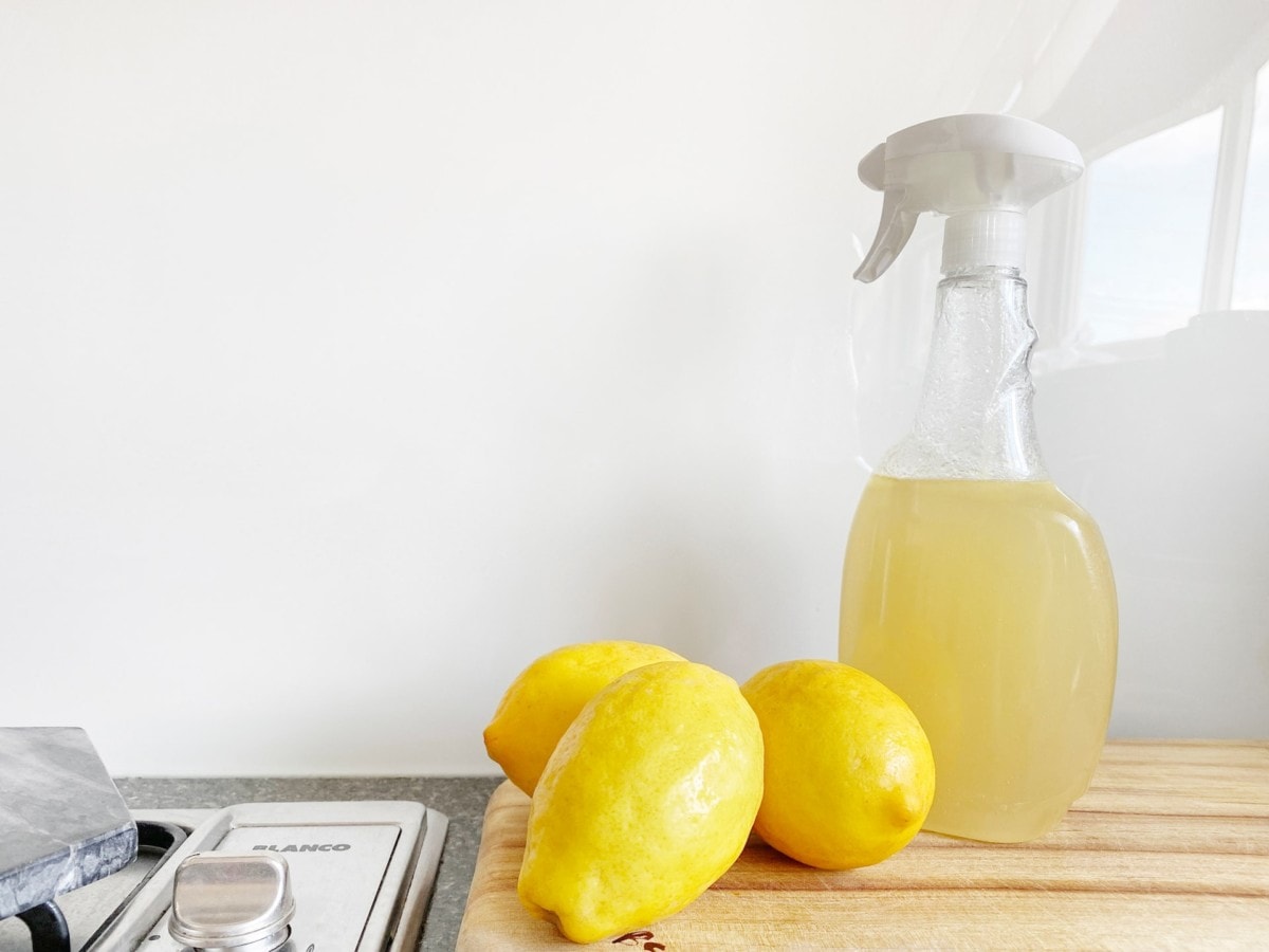 Lemon juice to help combat ants