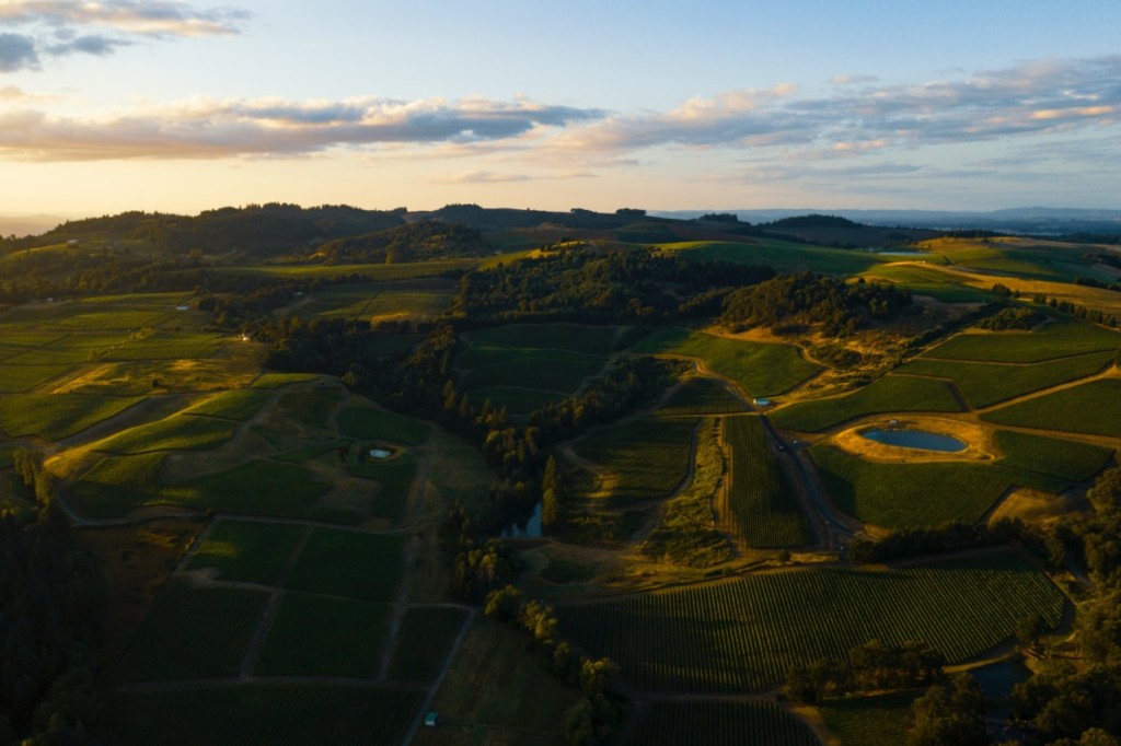 rolling hills and vineyards in salem, one of the fastest growing cities in oregon