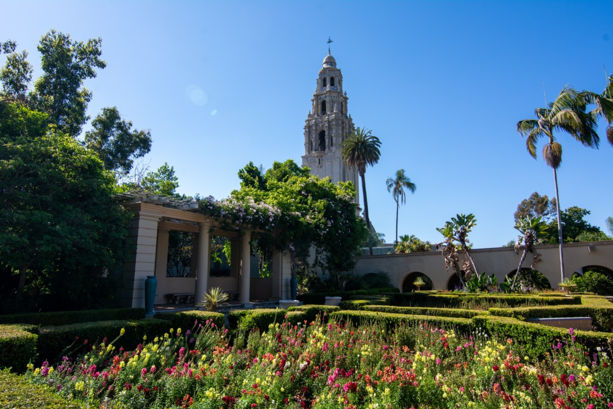 view of a garden and building in san diego