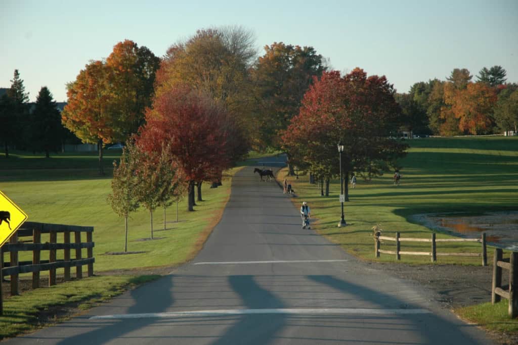 Medford