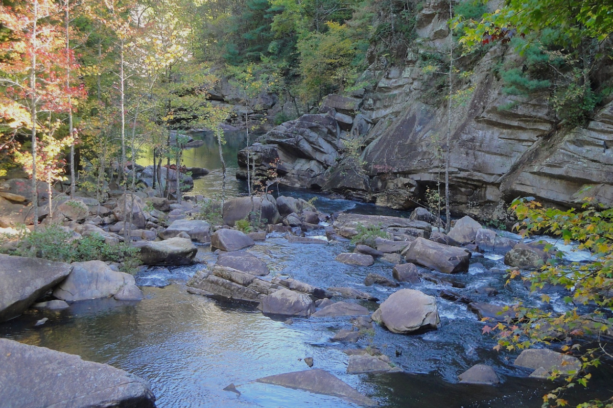 A creek in Georgia