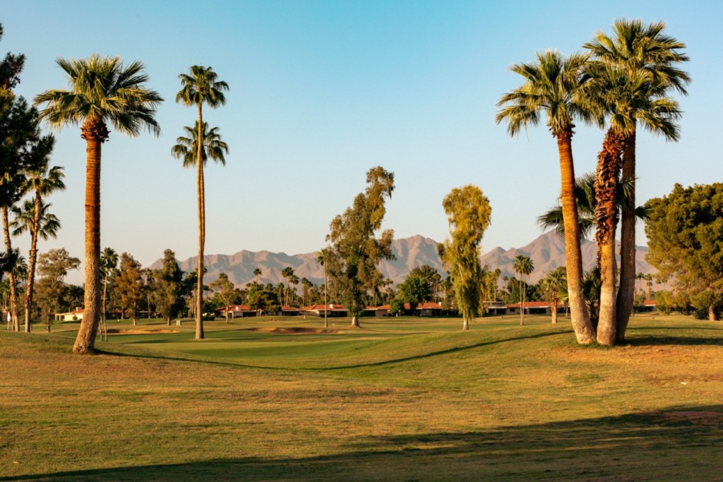 golf course in arizona with palm trees on sunny day