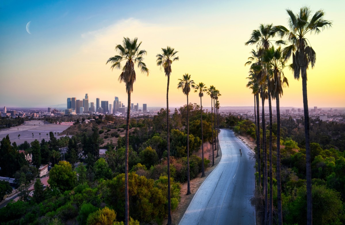 los angeles skyline with sunset and palm trees