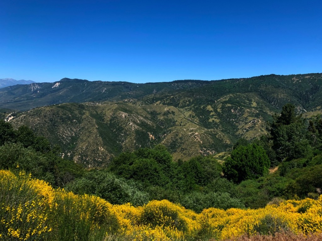 lush mountain fields in san bernardino county, california 