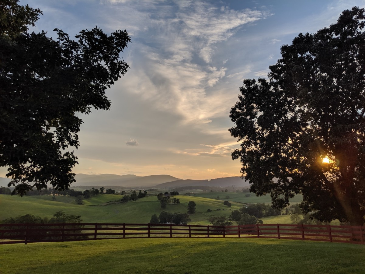 Meadow in Virginia during sunset