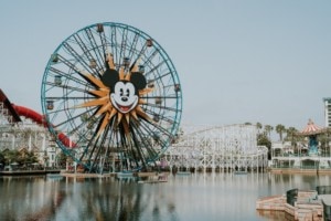 ferris wheel in california adventure in anaheim