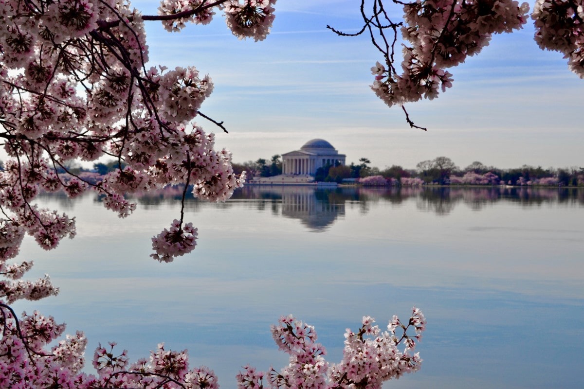 view of a building in washington dc during spring