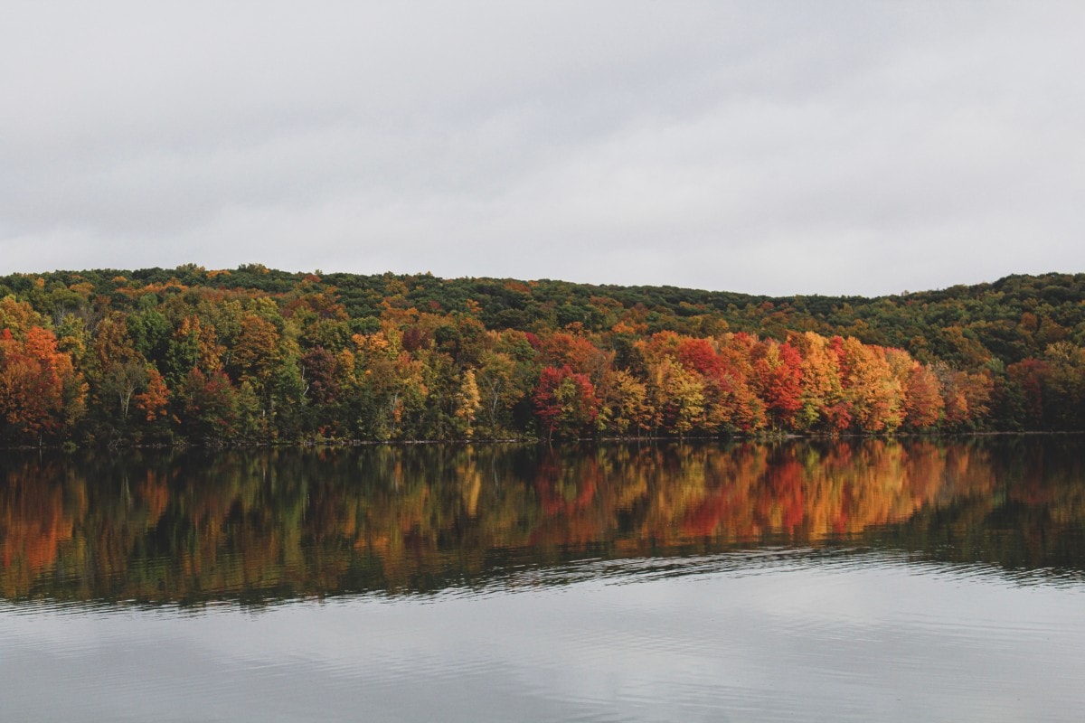 lake with autumn trees in one of the hartford suburbs
