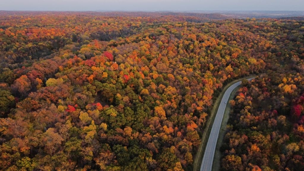 wooded road in one of the suburbs near joliet il