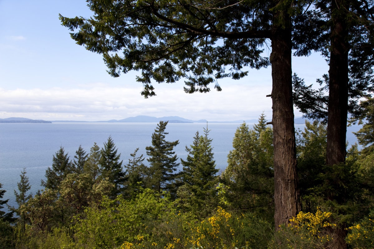 bellingham waterfront in washington_getty