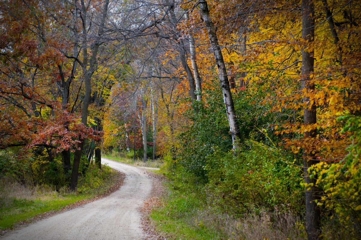 autumnal road in illinois_getty