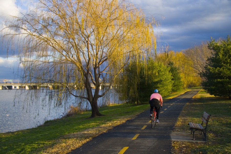 A biker cycling on the biking trail along the Potomac River, an activity many people partake in after moving to Washington DC.