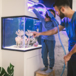 Family cleaning reef tank Getty