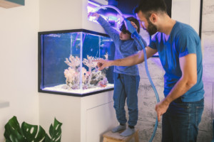 Family cleaning reef tank Getty