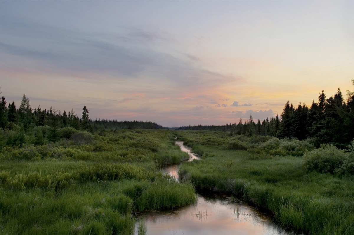 woodbury mn green space with stream at dusk