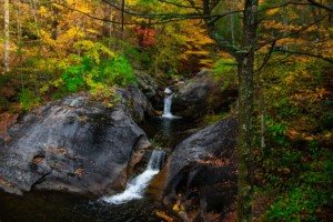 nature park with trees and waterfall in danbury ct