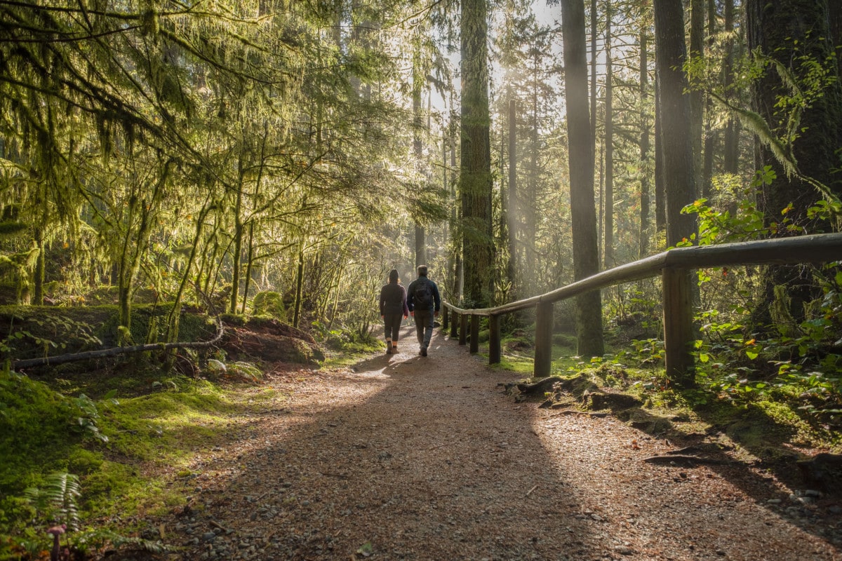 Two people walking on trail in wooded forest