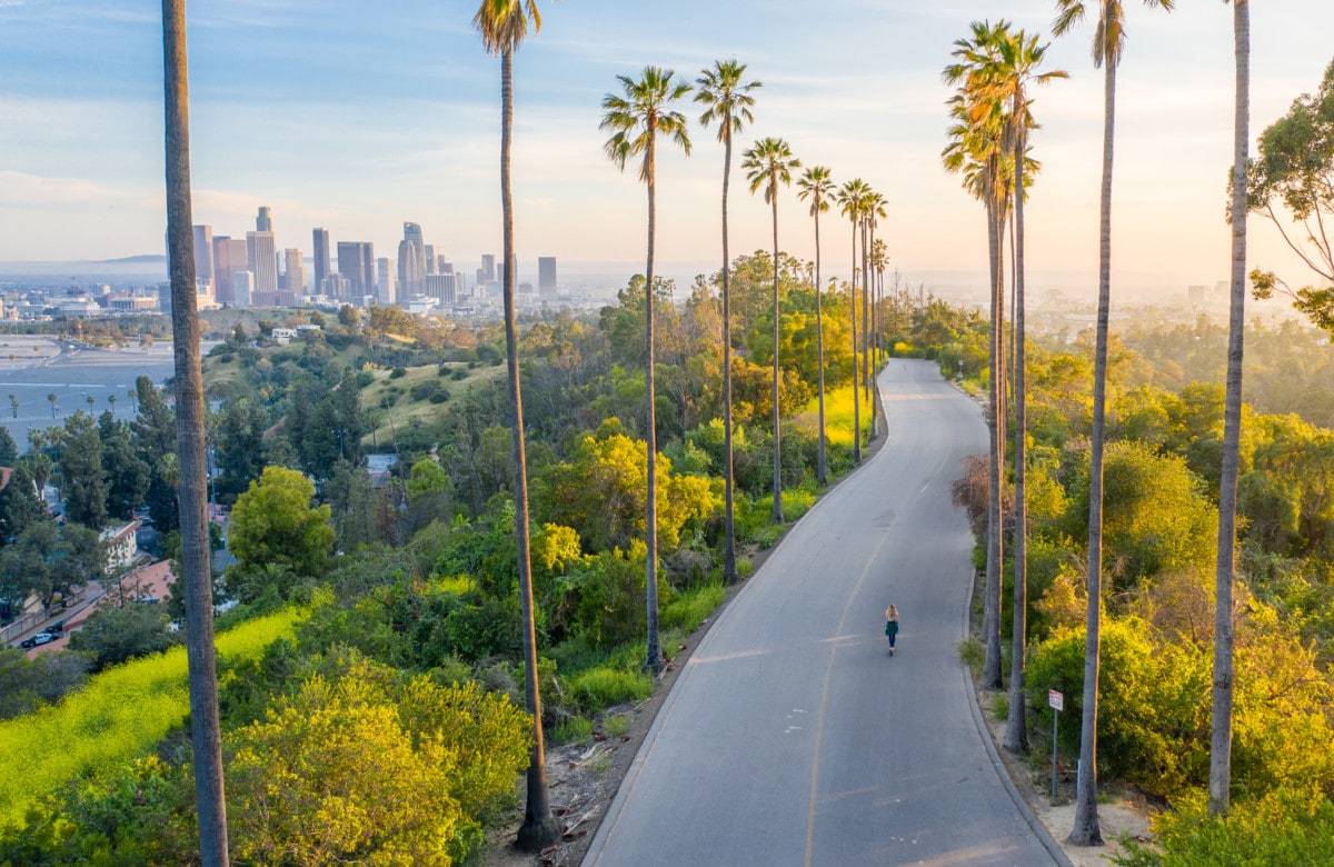Palm Trees Street Revealing Downtown Los Angeles _ getty